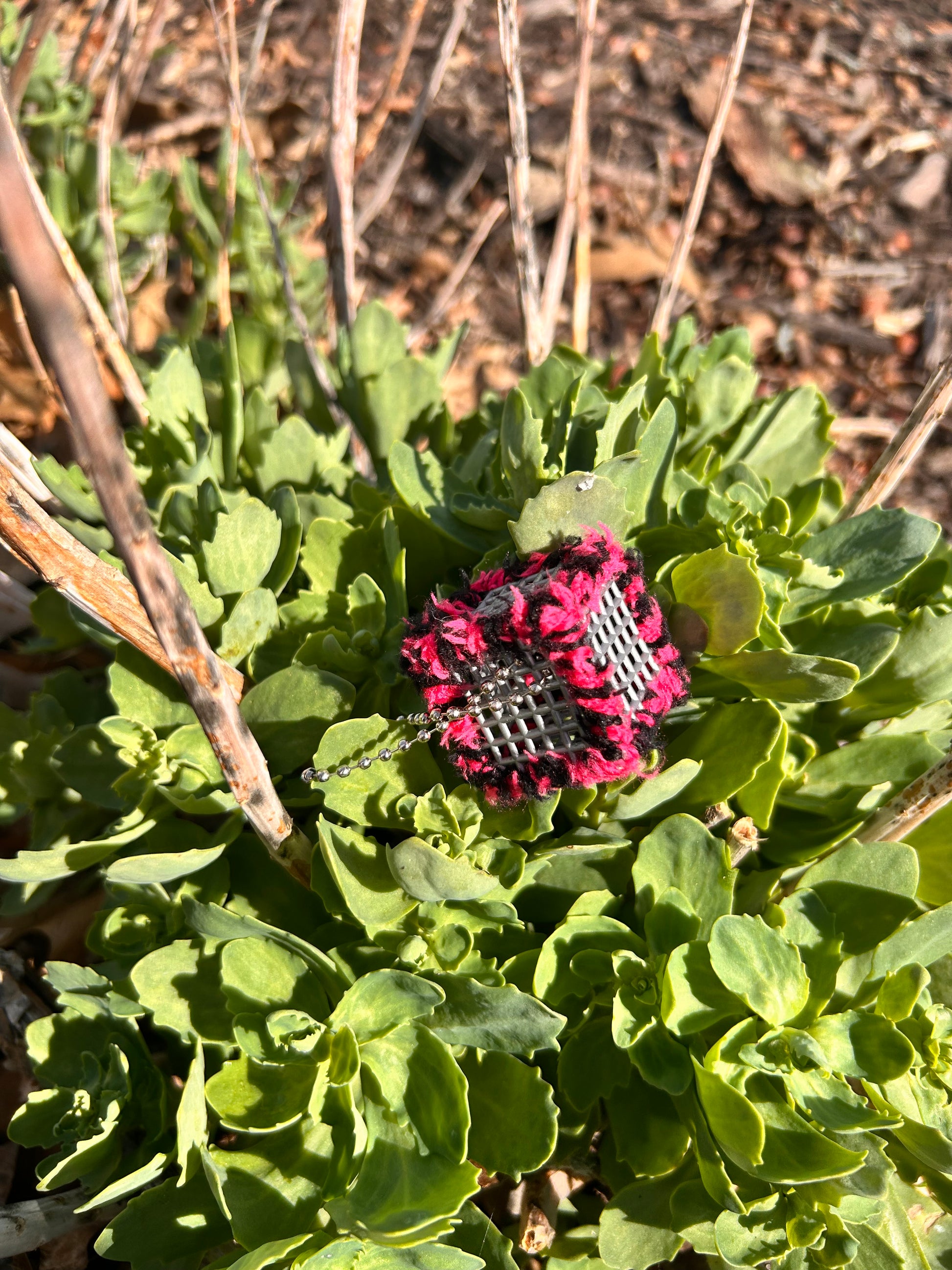 Handmade ASMR sensory cube laced with soft textured black and fuchsia yarn, 1.25 in. hexagon fidget art with ball chain clip nestled amongst a succulent ground covering basking in the bright spring sun.