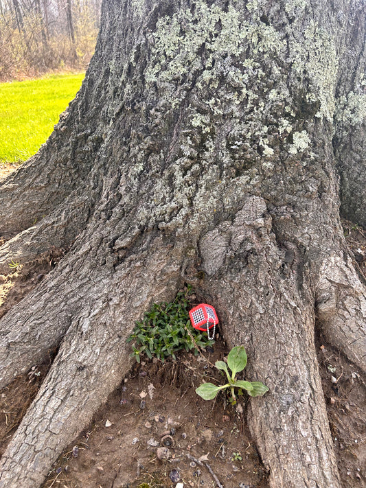Handmade ASMR sensory cube laced with orange yarn, 1.25 in. hexagon fidget art with ball chain clip pictured at the base of a tree sitting on a patch of weeds.